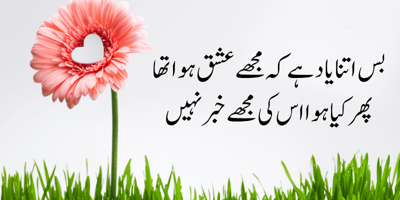 Heart Touching Love Poetry in Urdu
