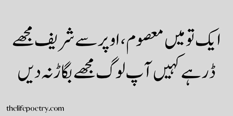 Funny poetry in urdu