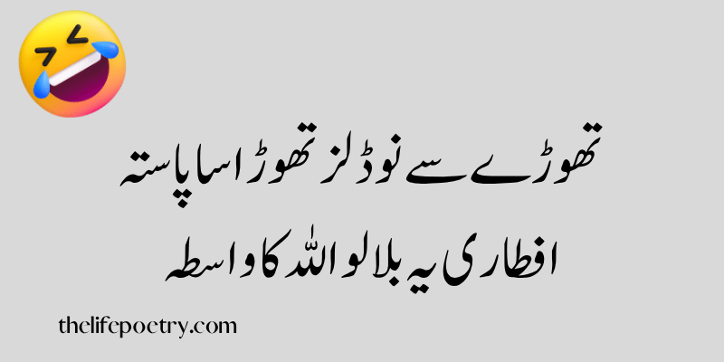 Funny poetry in urdu