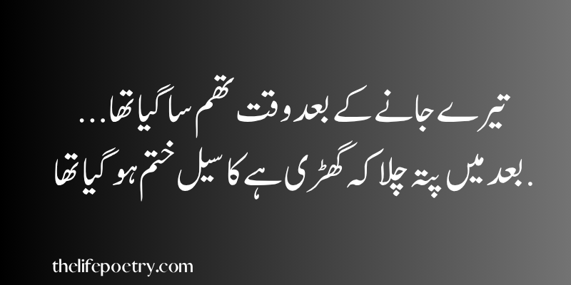 Funny poetry in urdu