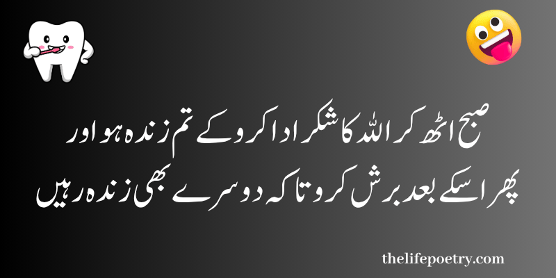 Funny poetry in urdu