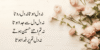 Romantic Quotes in Urdu: Heartfelt Expressions of Love - Post Thumbnail