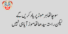 Funny Poetry in Urdu: Best Humorous Poems to Make You Laugh