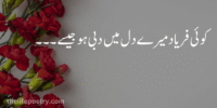 One Line Poetry – Best Short Urdu Shayari & Verses